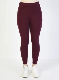 لايكرا لامع ~ V_00001